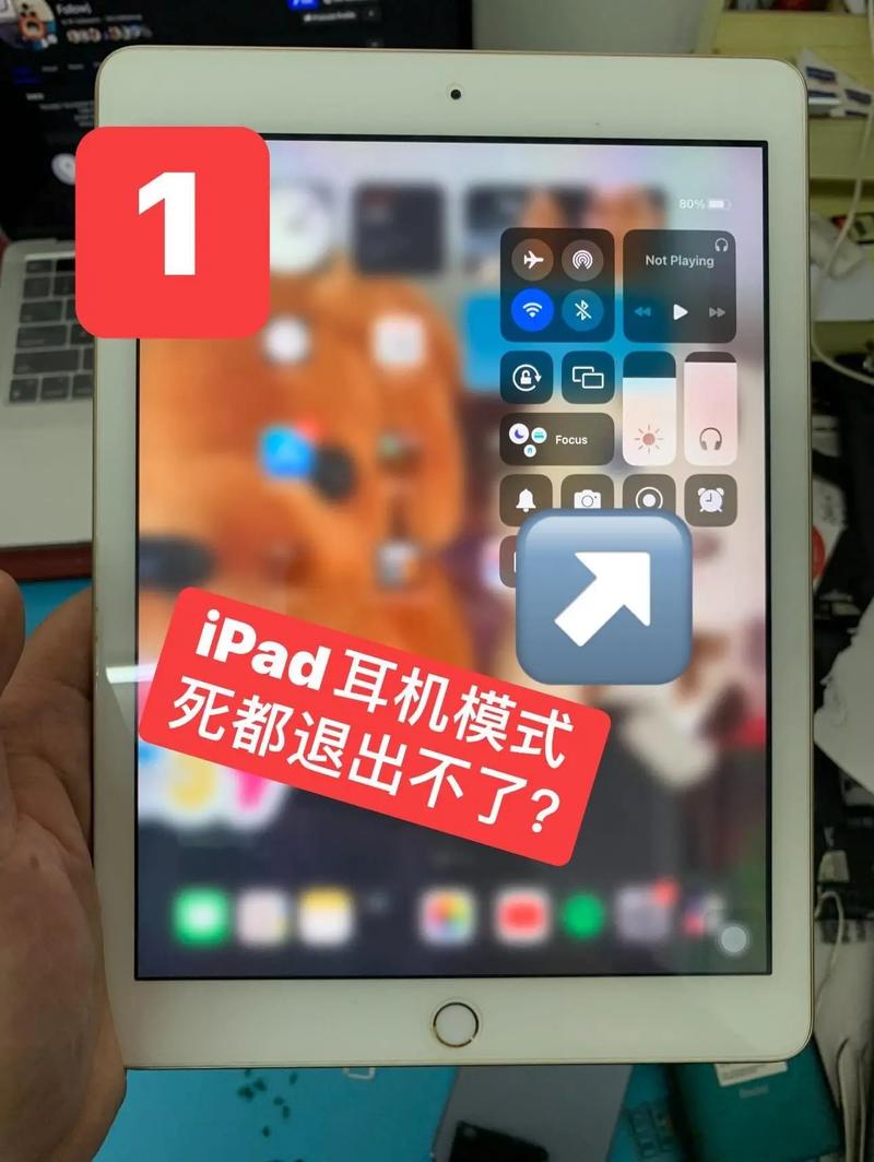iphone6没插耳机却是耳机模式缩略图