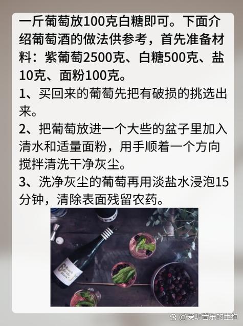 灾厄葡萄酒怎么做缩略图