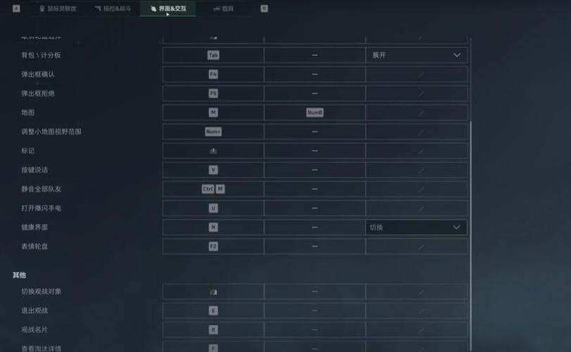 辐射4一按键盘就弹出缩略图