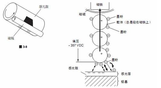 网页下拉选项显示不出来缩略图