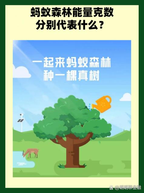 为什么蚂蚁森林不产生能量游戏截图