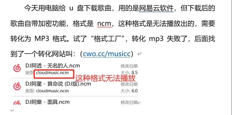 u盘下载的视频播放不了怎么回事游戏截图