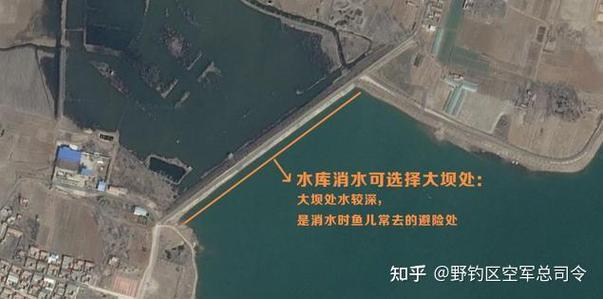 水库放水过多久可钓鱼缩略图