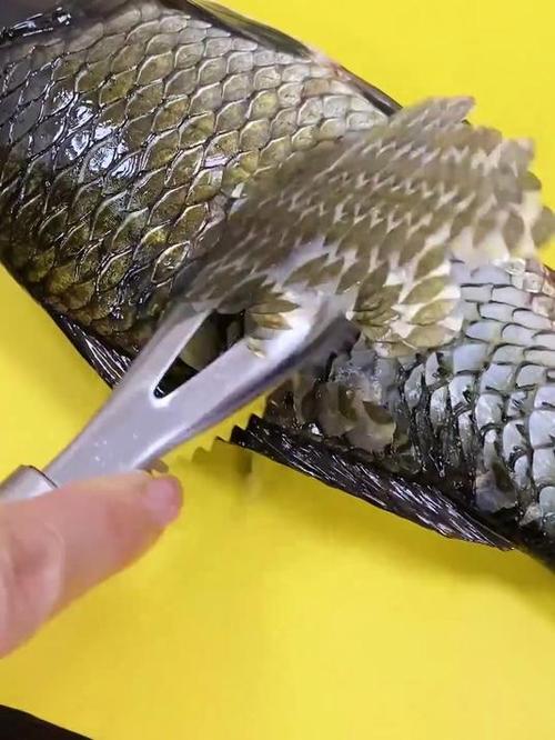小鱼去鱼鳞最佳方法视频缩略图