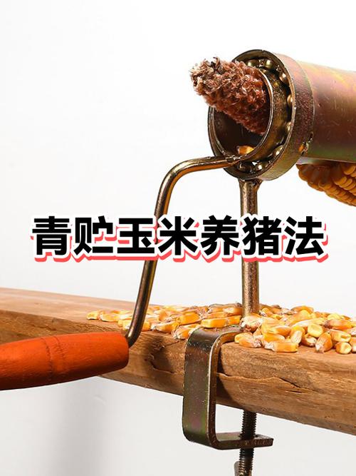 养猪有什么好处缩略图