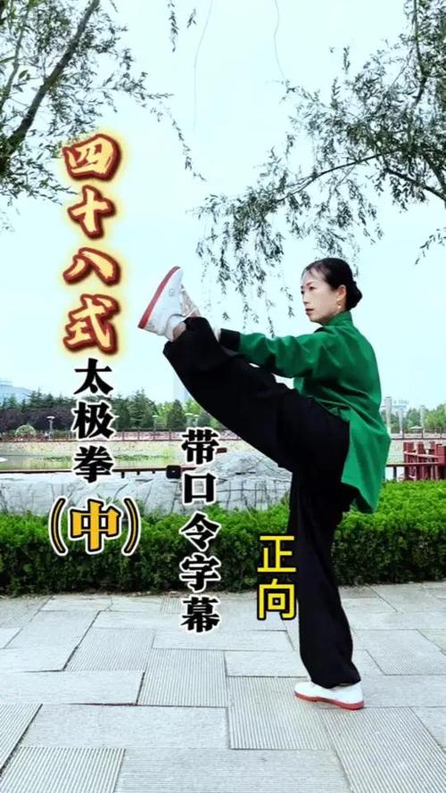 48式太极拳全套带口令缩略图