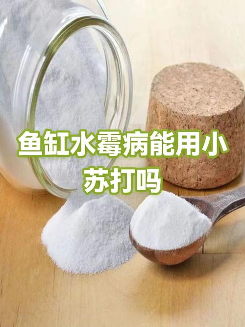 鱼缸水霉味对鱼有影响吗缩略图