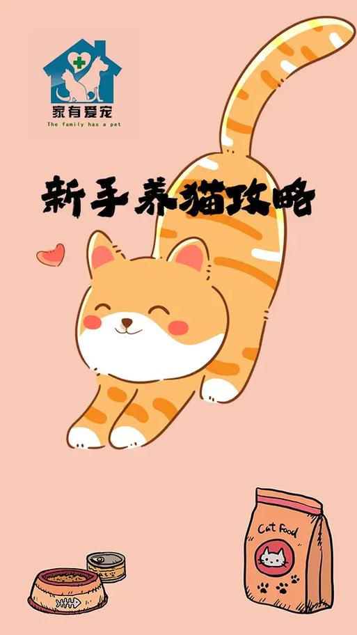 最简单的养猫方法缩略图
