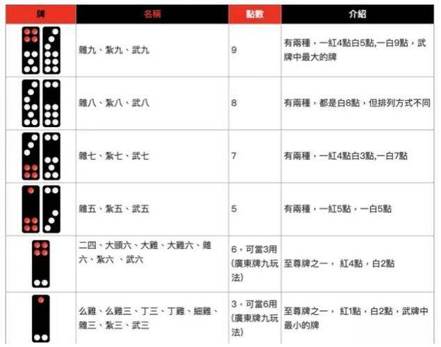 骨牌的游戏规则游戏截图