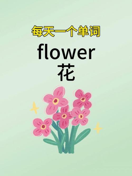 flower缩略图