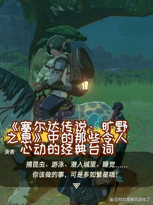 塞尔达缩小帽抓鸡任务怎么做缩略图
