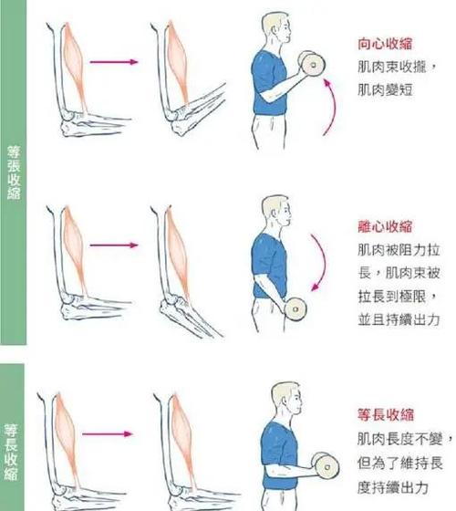 肌肉运动游戏截图