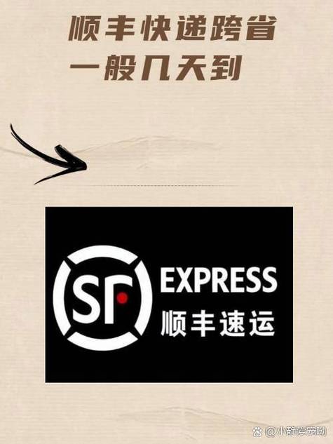 顺丰特快超过时效怎么赔偿游戏截图