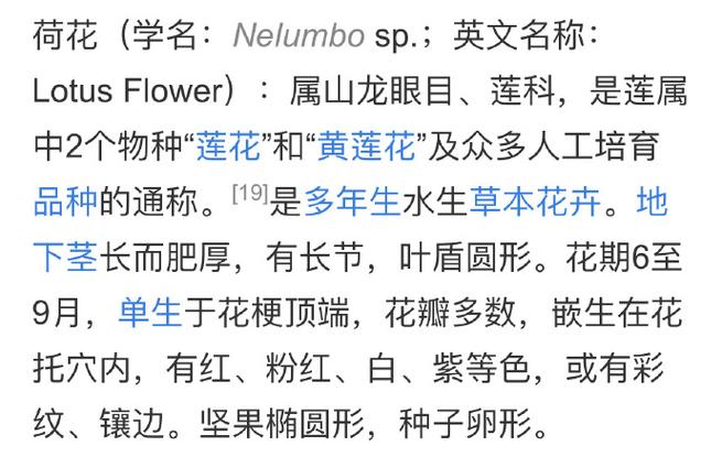 荷花的别称缩略图