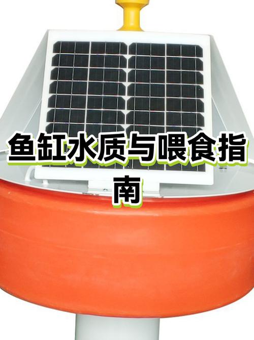 鱼缸里水浑浊怎么回事缩略图