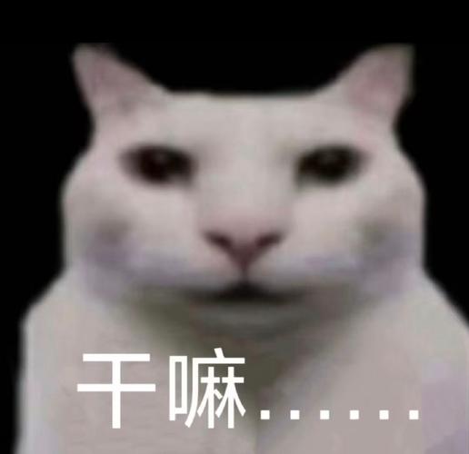 乐讯app是干嘛的游戏截图