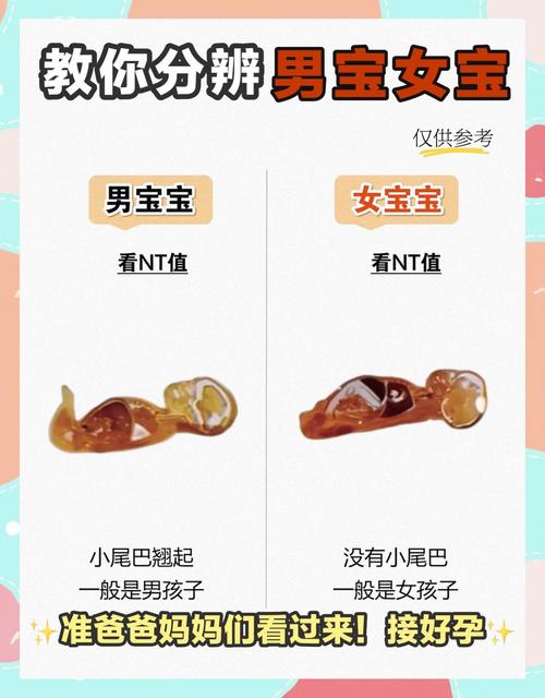 崽崽是男孩还是女孩缩略图