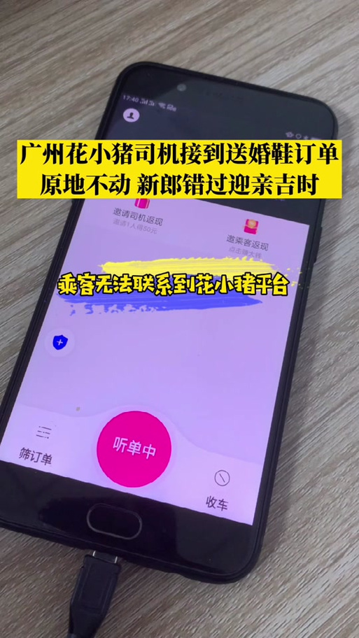 花小猪如何抢到大单缩略图