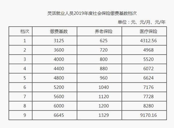 社保费缴纳缩略图
