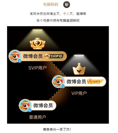 微博会员和非会员区别缩略图