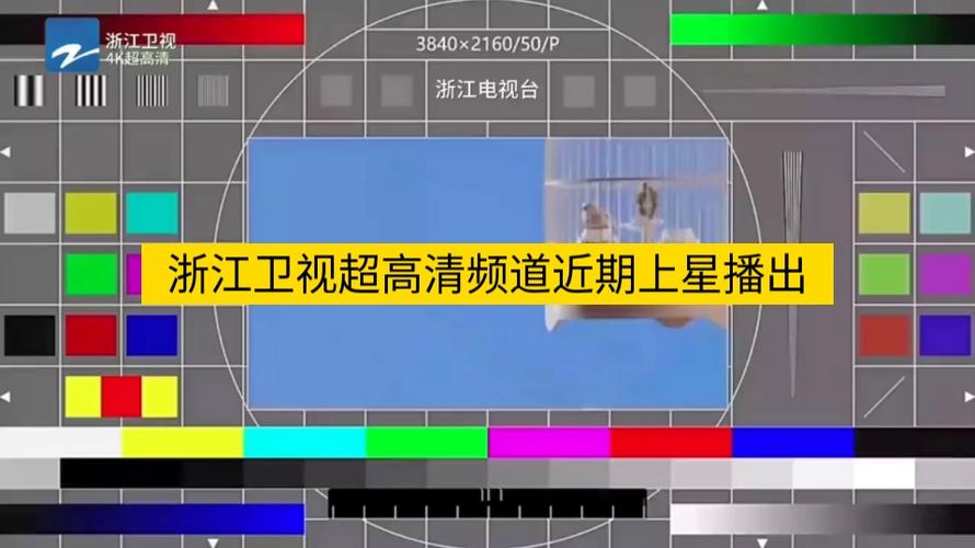 浙江卫视6频道直播在线观看缩略图