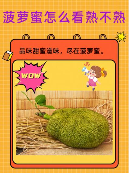 菠萝蜜怎么看熟没熟缩略图