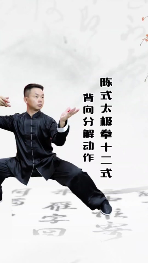 陈式十二式慢动作分解游戏截图