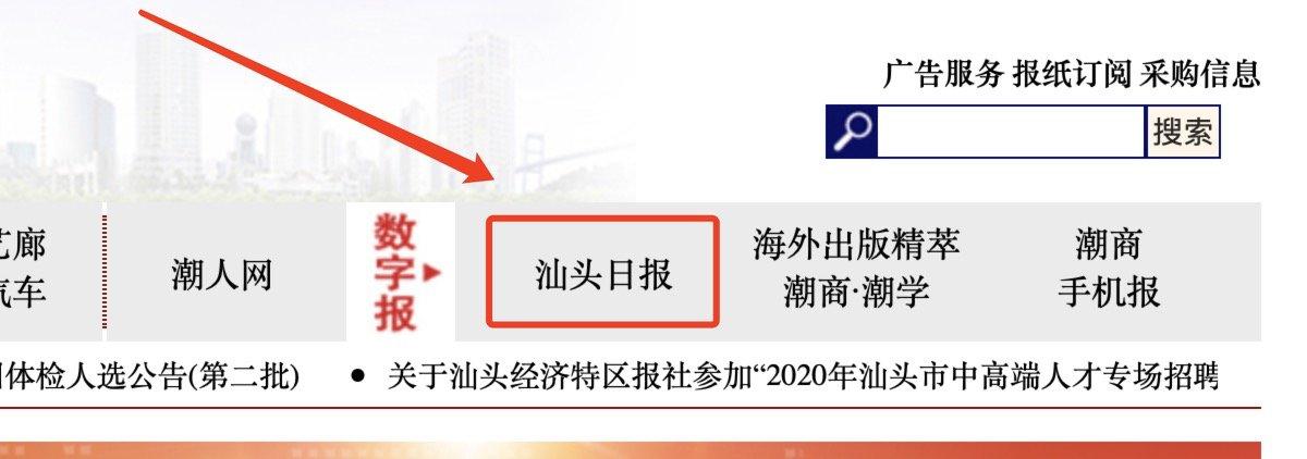 大华网官网缩略图
