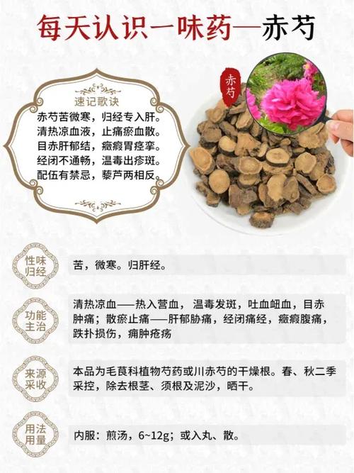 赤芍的药用缩略图