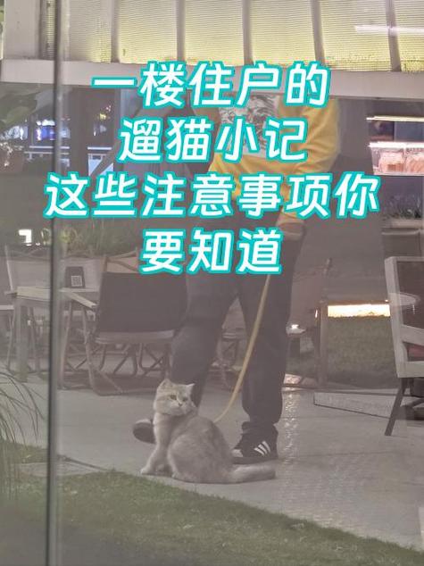 溜溜哒哒和遛遛哒哒区别缩略图