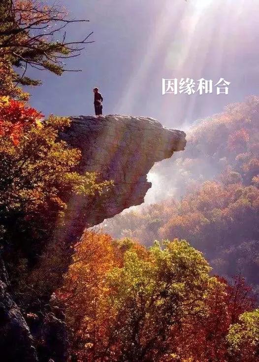 觅缘交友软件缩略图