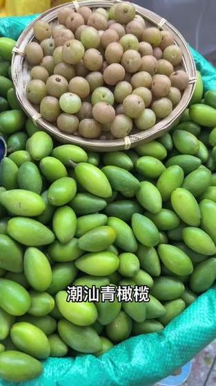 青橄榄一般去哪里买缩略图