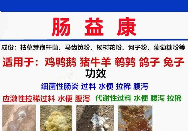 禽一片的功效与作用游戏截图