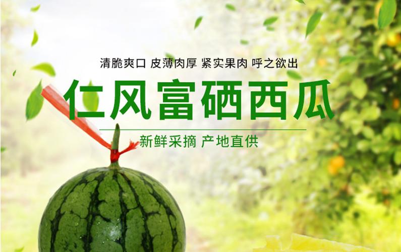 西瓜的详细介绍游戏截图