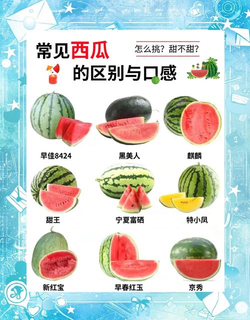 magic至臻版跟普通版区别缩略图