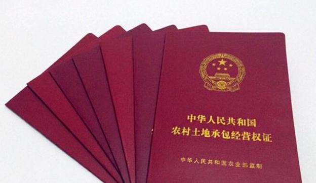 土地确权户主死了由谁继承缩略图