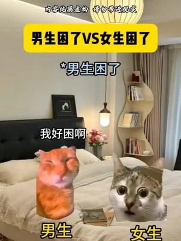 男生对女生说困了是什么意思缩略图