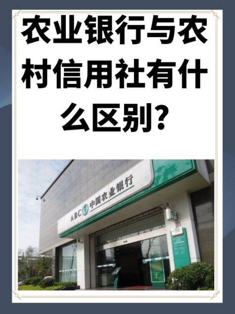 农村信用社也叫农村商业银行吗图标
