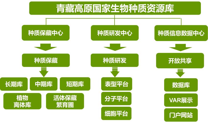 绿色资源库缩略图