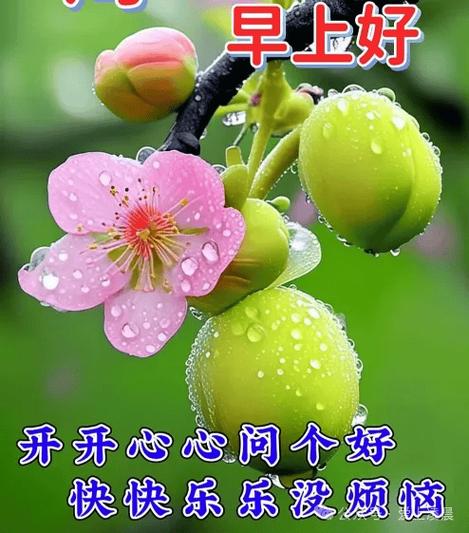 暖心打动人心的祝福语缩略图