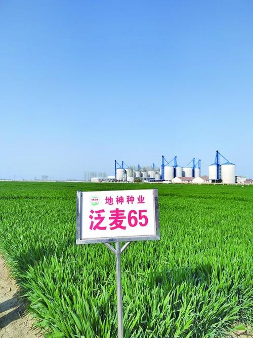 重生,粮食种子巨头缩略图