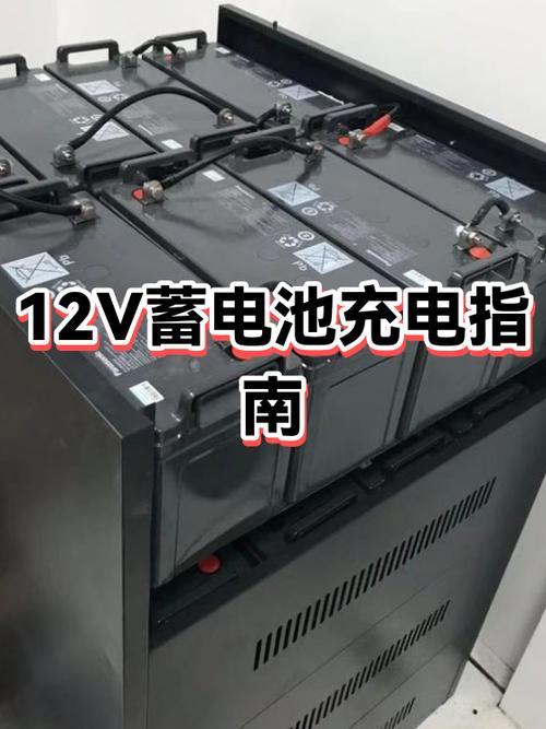 12伏蓄电池充电器哪个品牌好缩略图