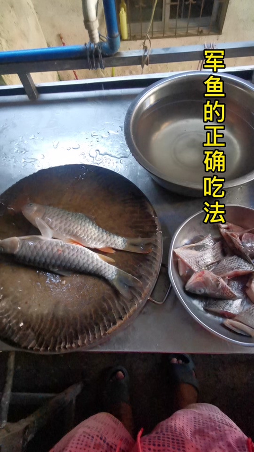 军鱼可以吃吗缩略图