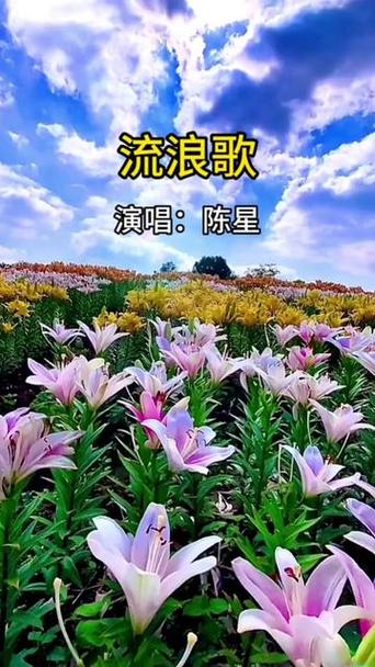 流浪歌原唱游戏截图
