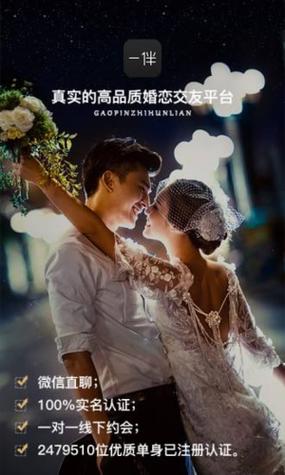 下载一伴婚恋游戏截图