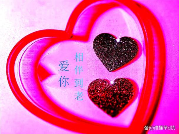 心心相伴下一句游戏截图