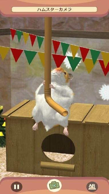 我的仓鼠破解版无限金币无广告缩略图