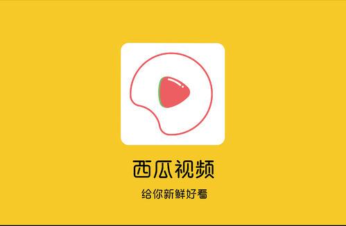 西瓜视频播放量只有几百缩略图