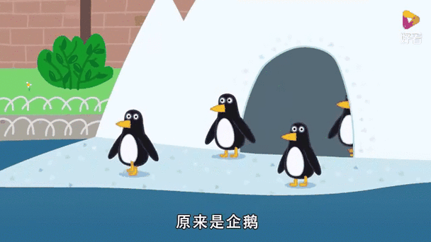 企鹅百宝箱缩略图