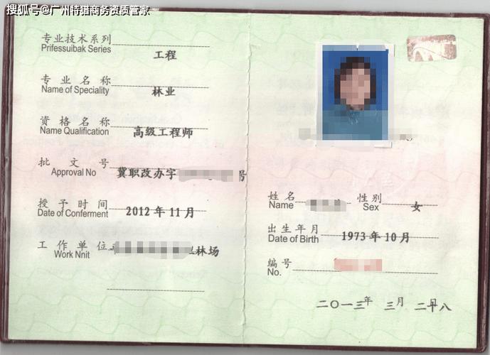 高级职称证书电子版缩略图